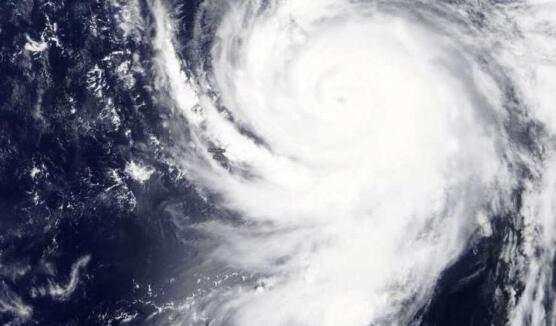 臺風(fēng)“美莎克”致吉林玉米大面積倒伏，像棉被一樣鋪在地上，減產(chǎn)已成定局(圖7)