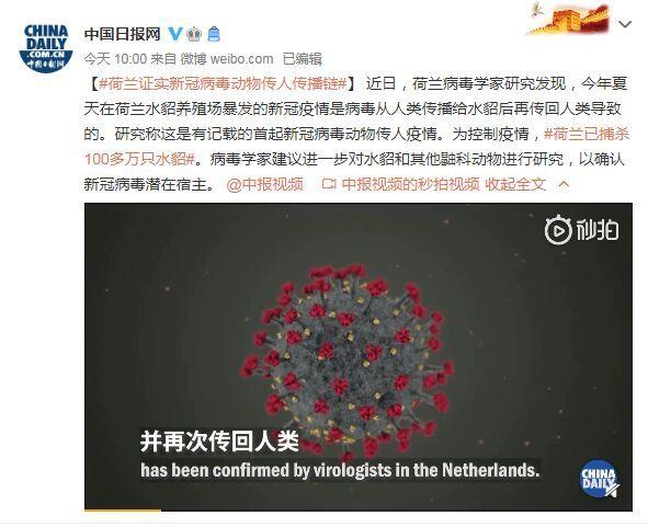 首起！荷蘭證實(shí)新冠病毒動物傳人疫情鏈條：病毒從人類傳播給水貂后再傳回人類(圖1)